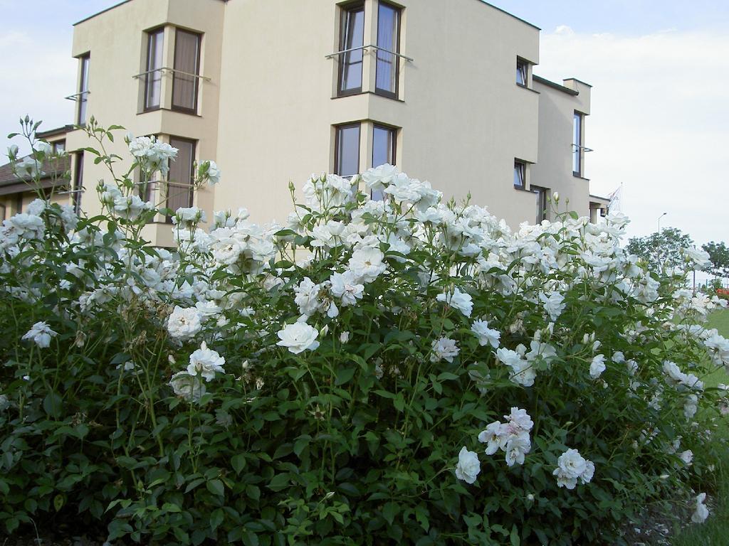 Hotel Grodzki Posen Exterior foto